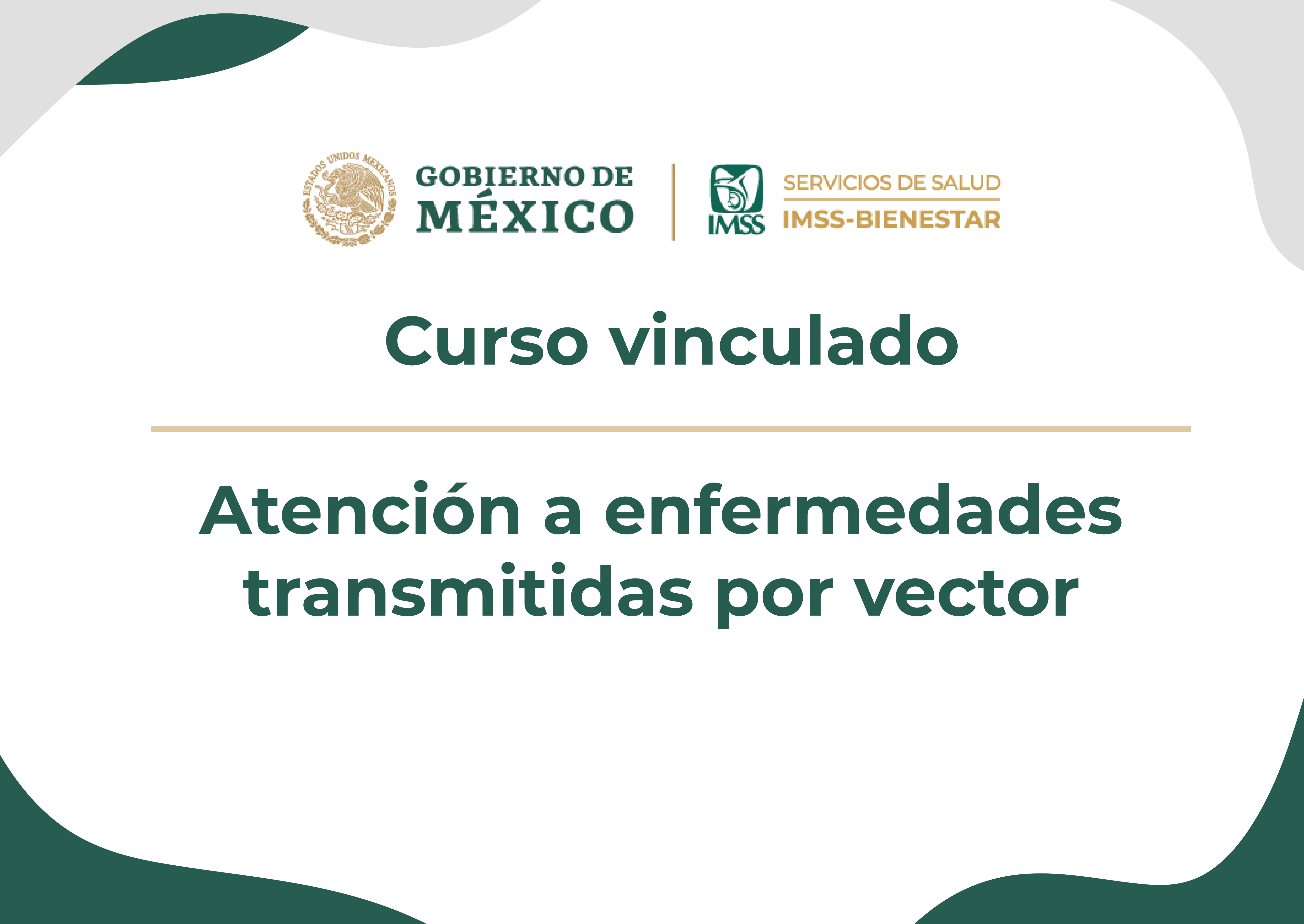 CV Atención a enfermedades transmitidas por vector