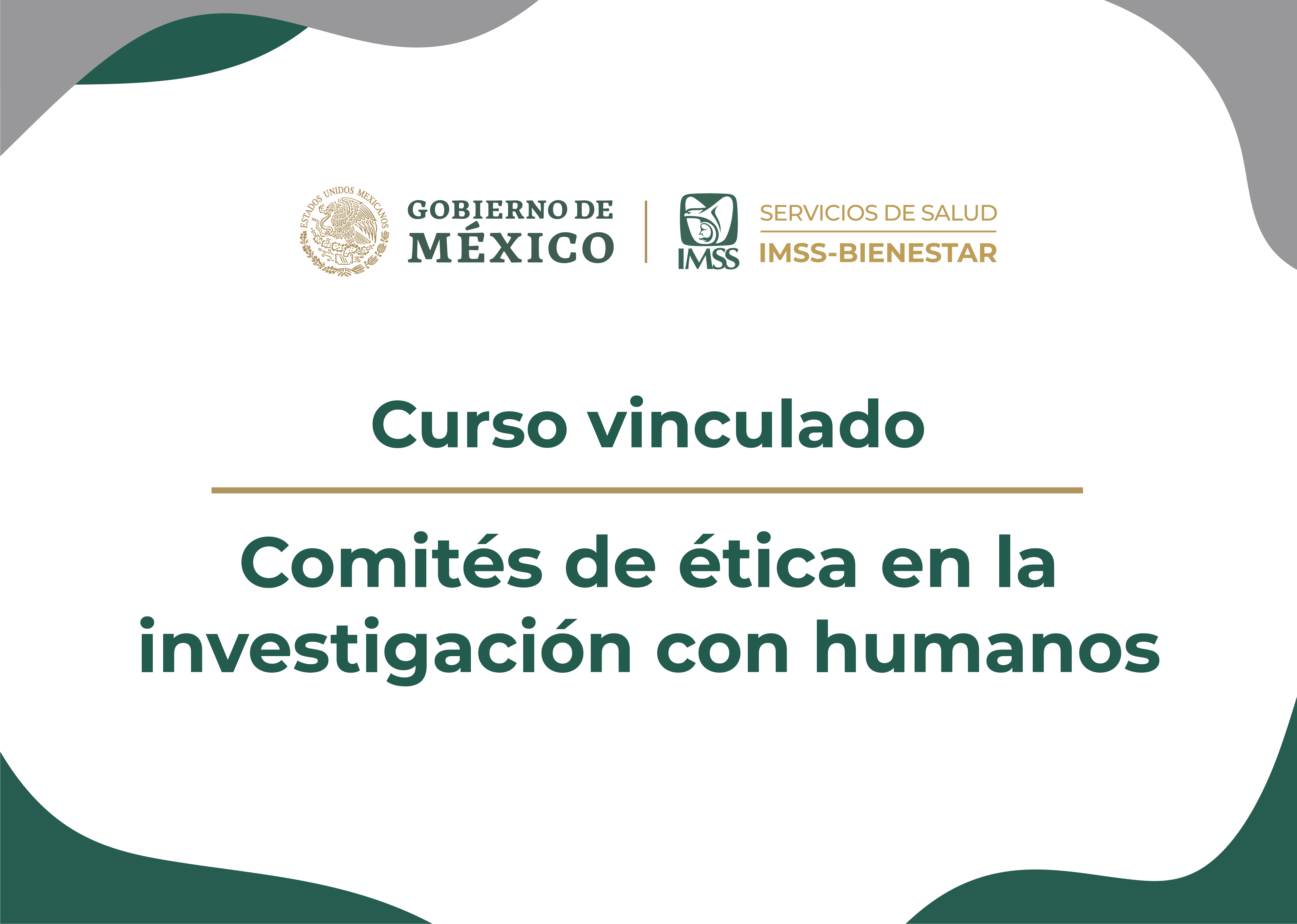 CV Comités de ética en la investigación con humanos