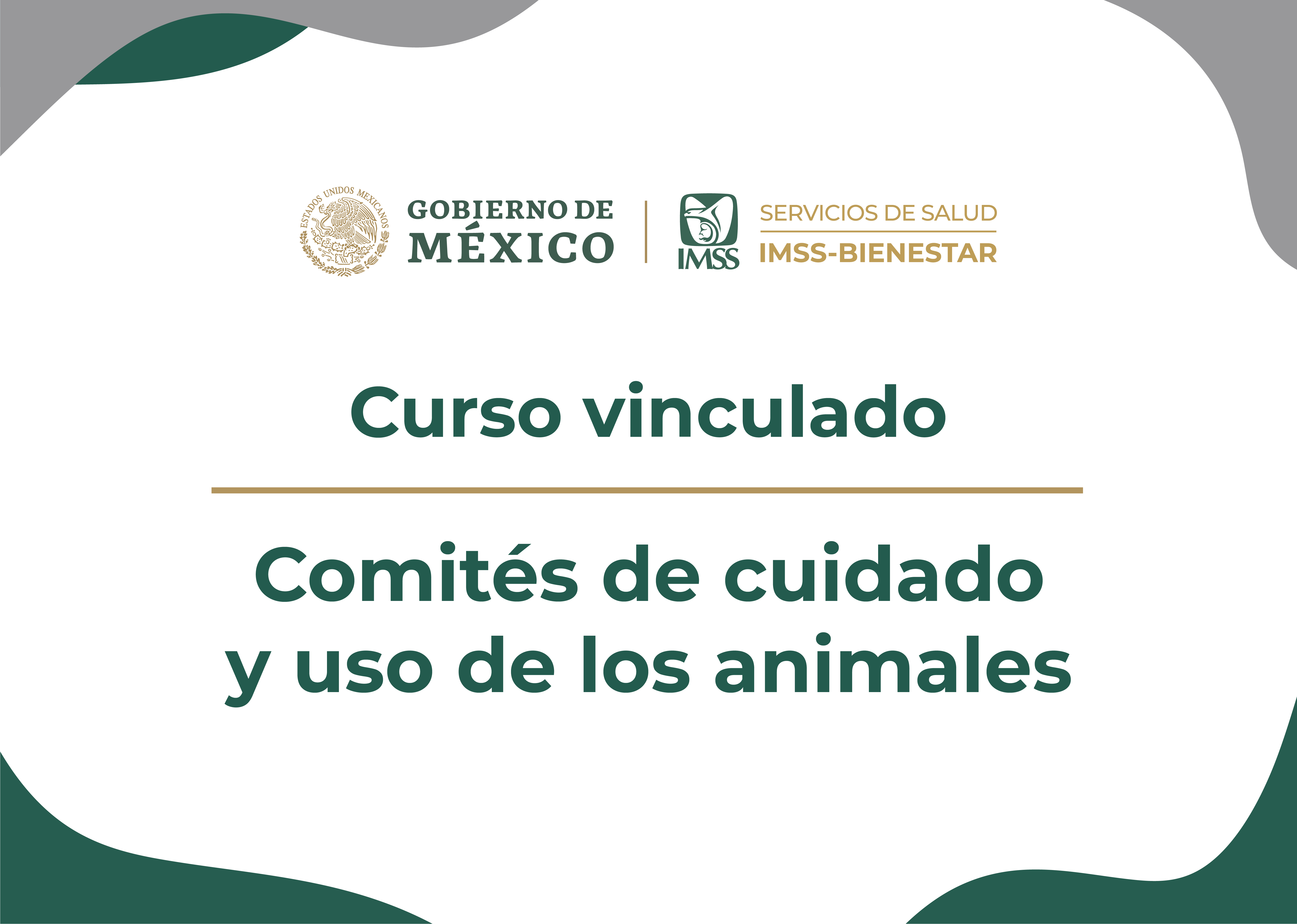 CV Comités de cuidado y uso de los animales