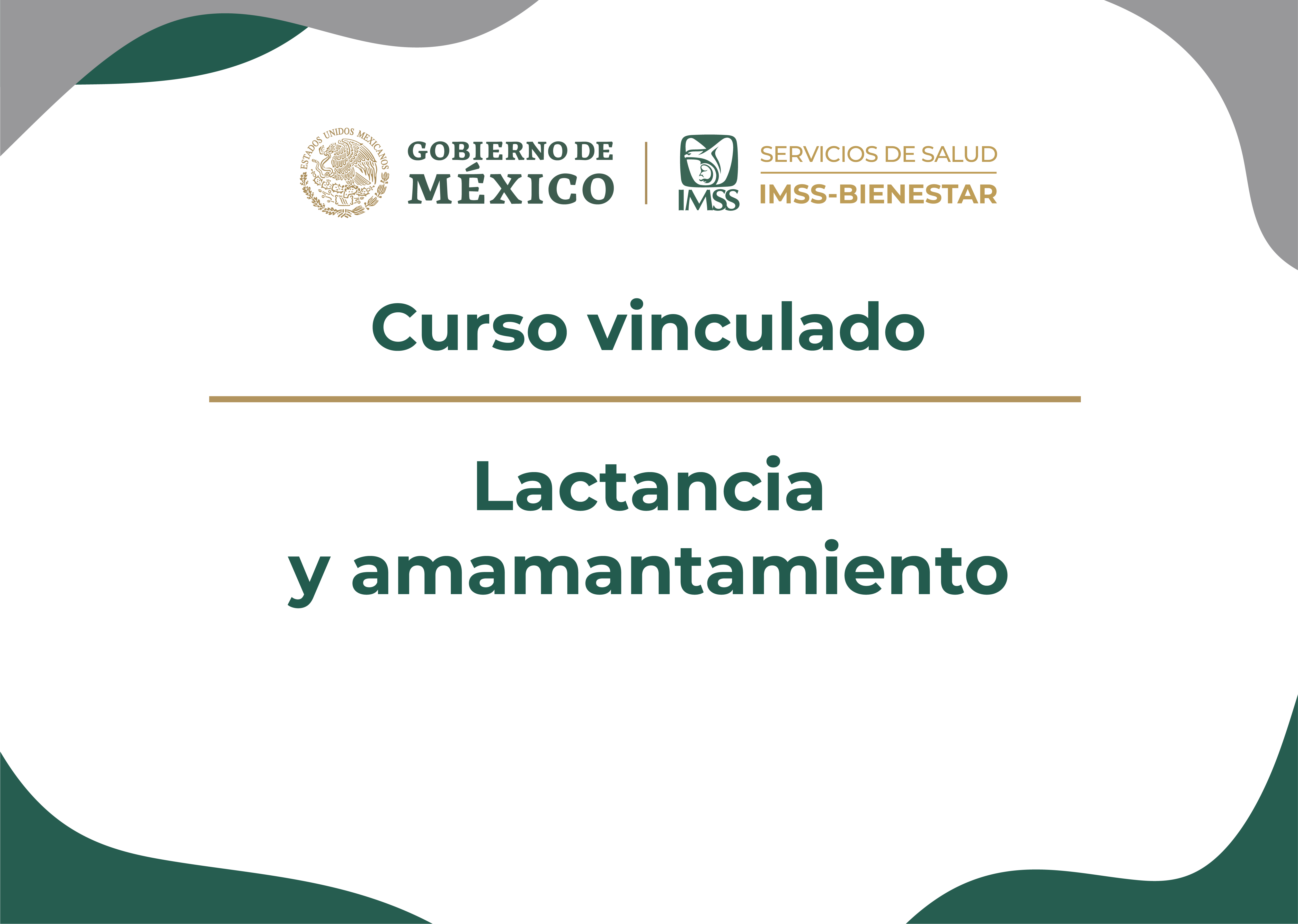 CV Lactancia y amamantamiento