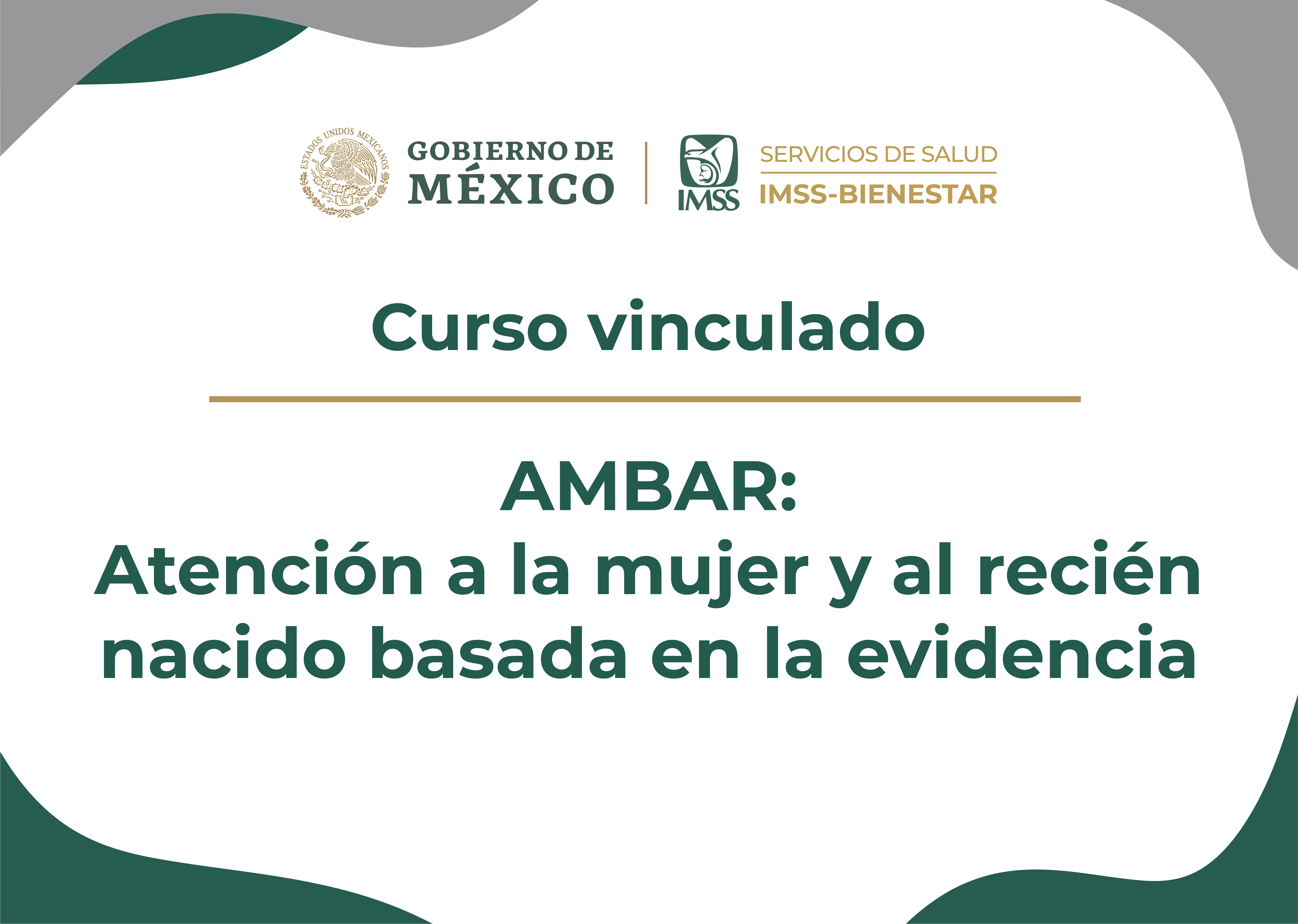 CV AMBAR: Atención a la mujer y al recién nacido basada en la evidencia