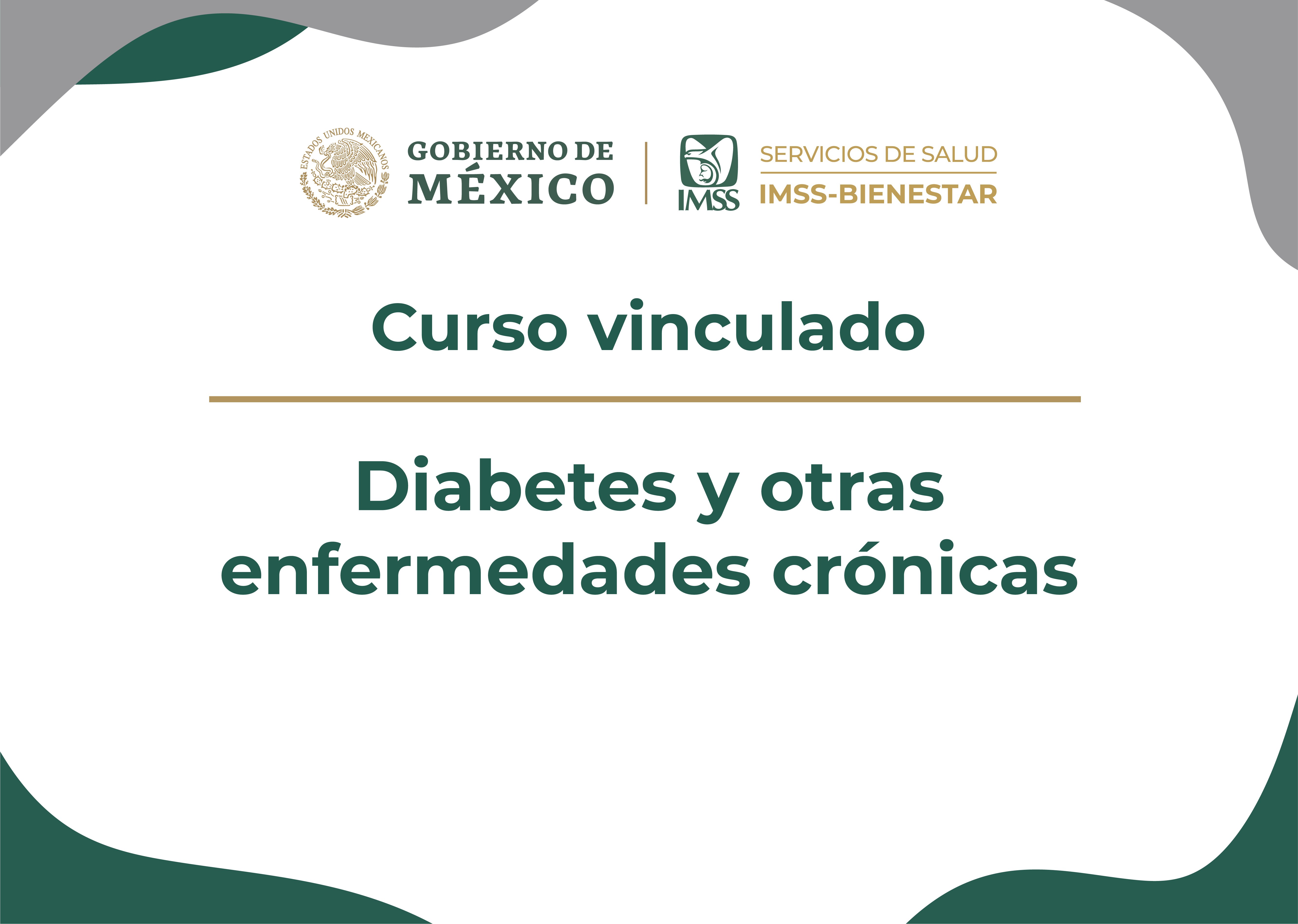 CV Diabetes y otras enfermedades crónicas