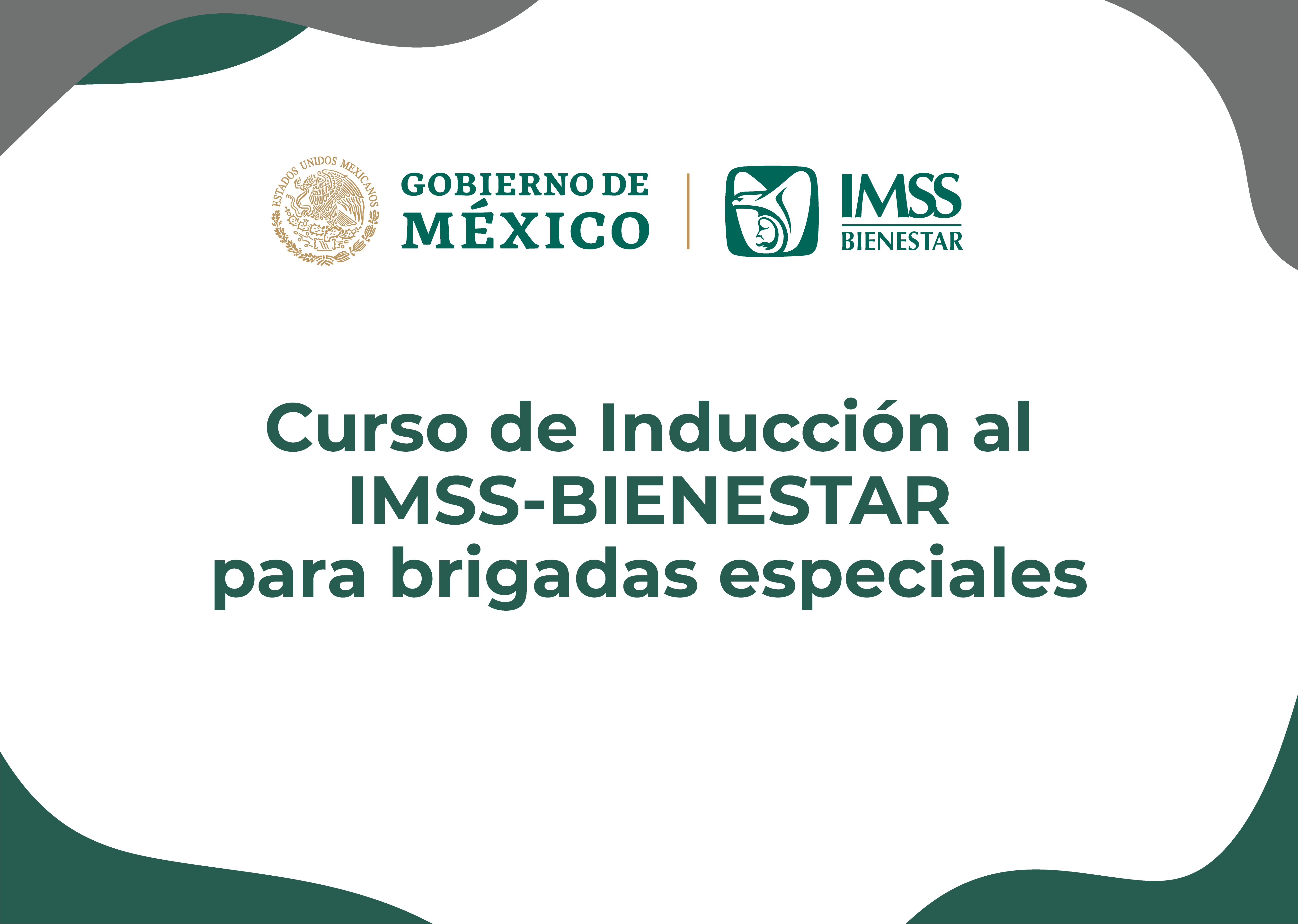 Curso de inducción al IMSS-Bienestar para Brigadas Especiales