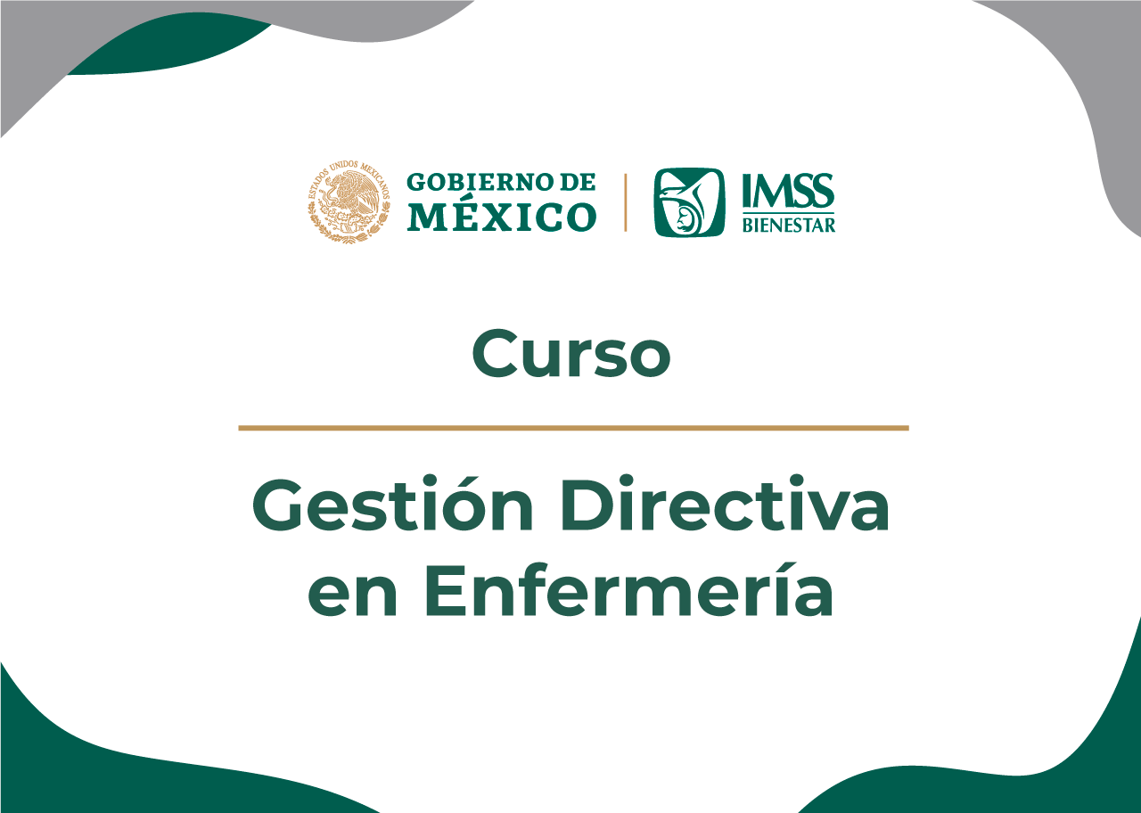 Gestión Directiva en Enfermería