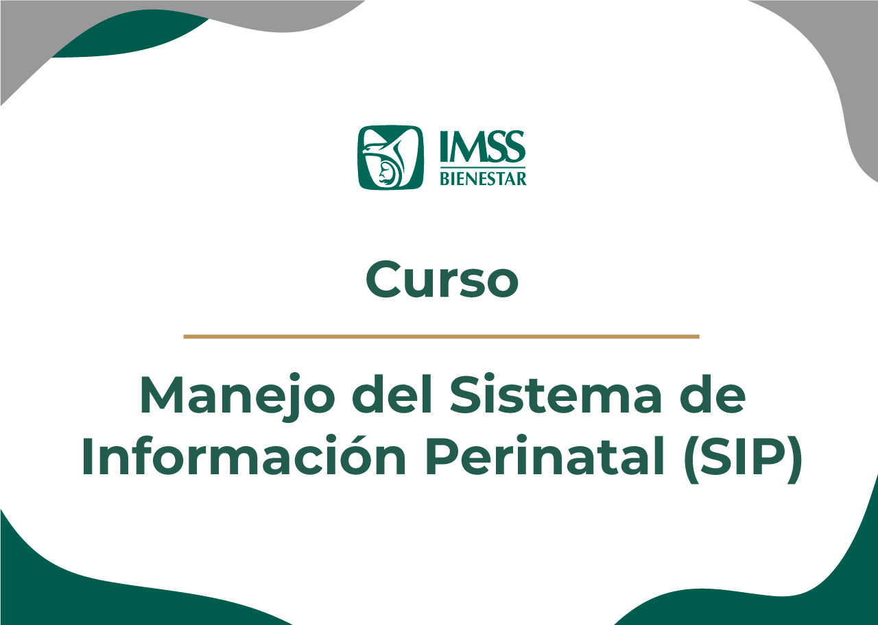 CV Manejo del Sistema de Información Perinatal / SIP Plus 