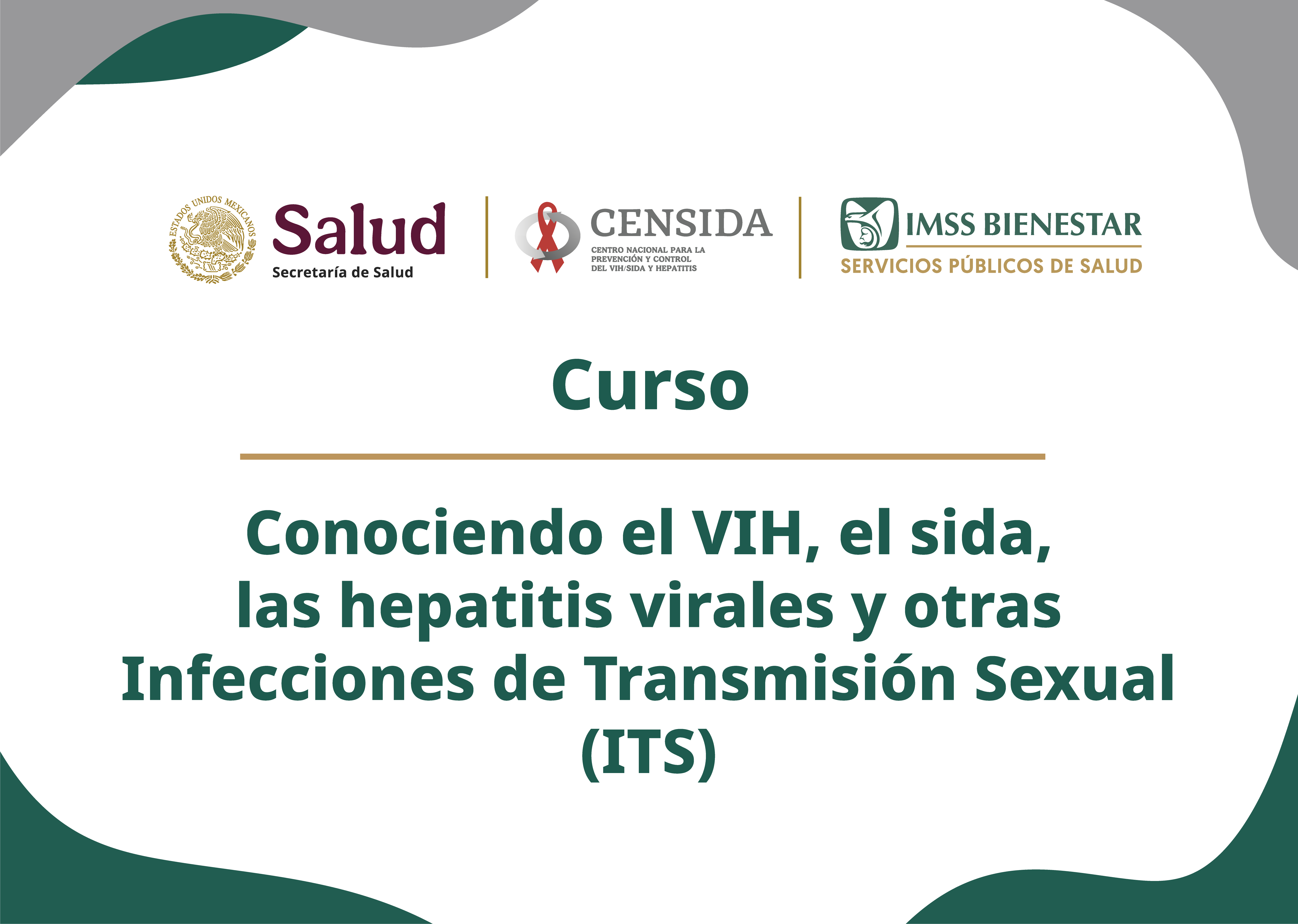 Conociendo el VIH, el sida, las Hepatitis virales y otras Infecciones de transmisión sexual (ITS)